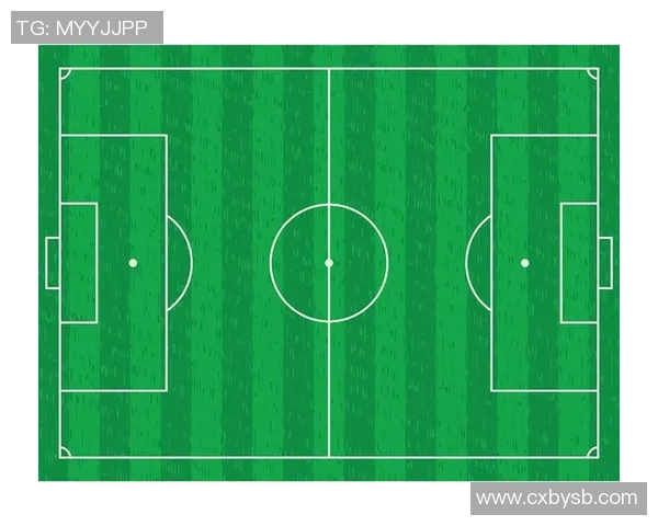 北京足球队区域防守体系解析与战术应用研究